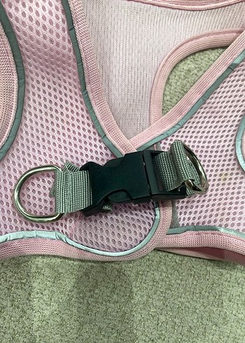 Beden Renk Pembe Köpek Göğüs Tasması XL