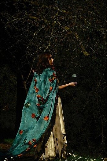 Cosplay elbise - Görsel 6