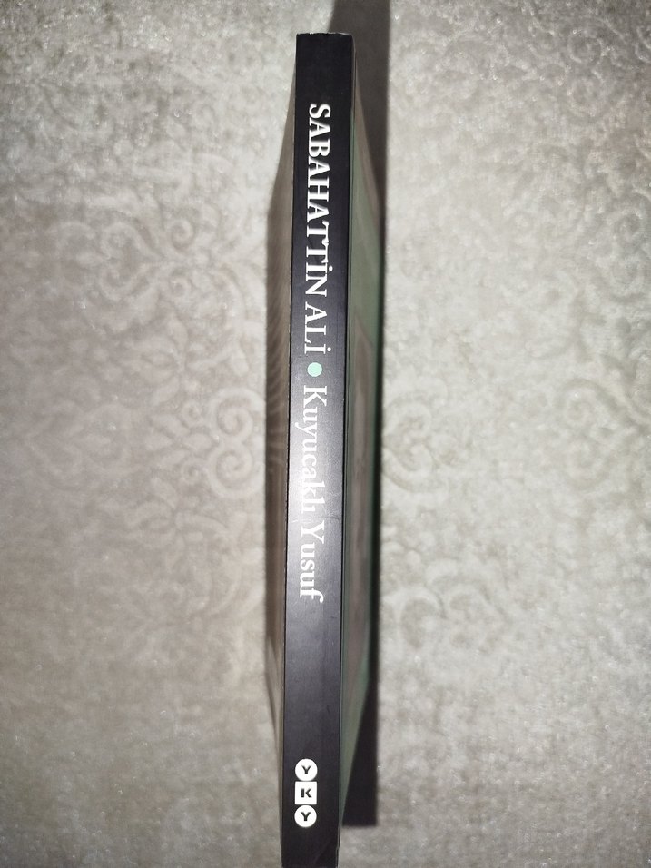 Sabahattin Ali - Kuyucaklı Yusuf Roman YKY'de 100. Baskı - Görsel 3