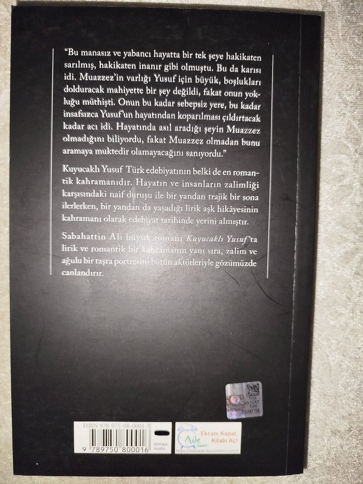 Sabahattin Ali - Kuyucaklı Yusuf Roman YKY'de 100. Baskı - Görsel 2