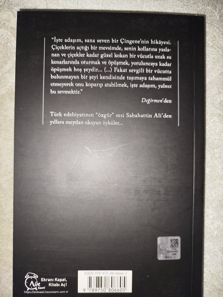 Sabahattin Ali - Değirmen YKY'de 51. Baskı - Görsel 3