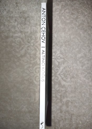 Anton Çehov - Altıncı Koğuş - Görsel 2