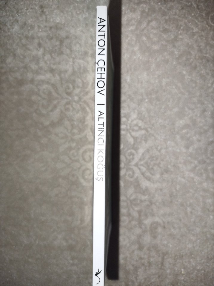 Anton Çehov - Altıncı Koğuş - Görsel 2