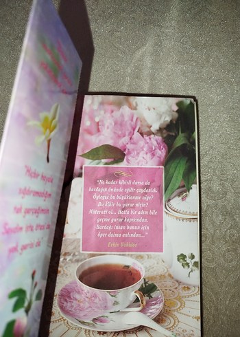  Beden Renk Manolya Kokulu Hikayeler - Kokulu Kitap 1. Baskı