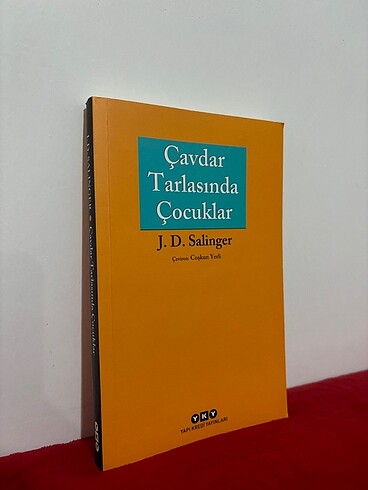  Beden Renk Çavdar Tarlasında Çocuklar