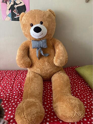 Peluş ayı