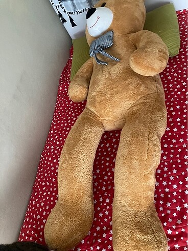 Beden Renk Peluş ayı