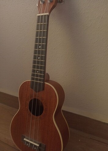 Ukulele 