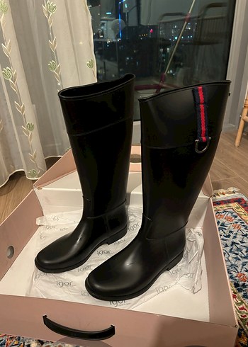 Igor 37