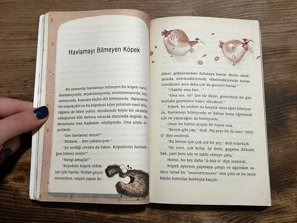 Gianni Rodari - Masal İçinde Masal - Görsel 3