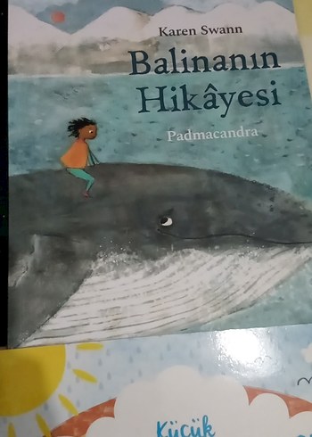 Çocuklar Kitapları - Görsel 3