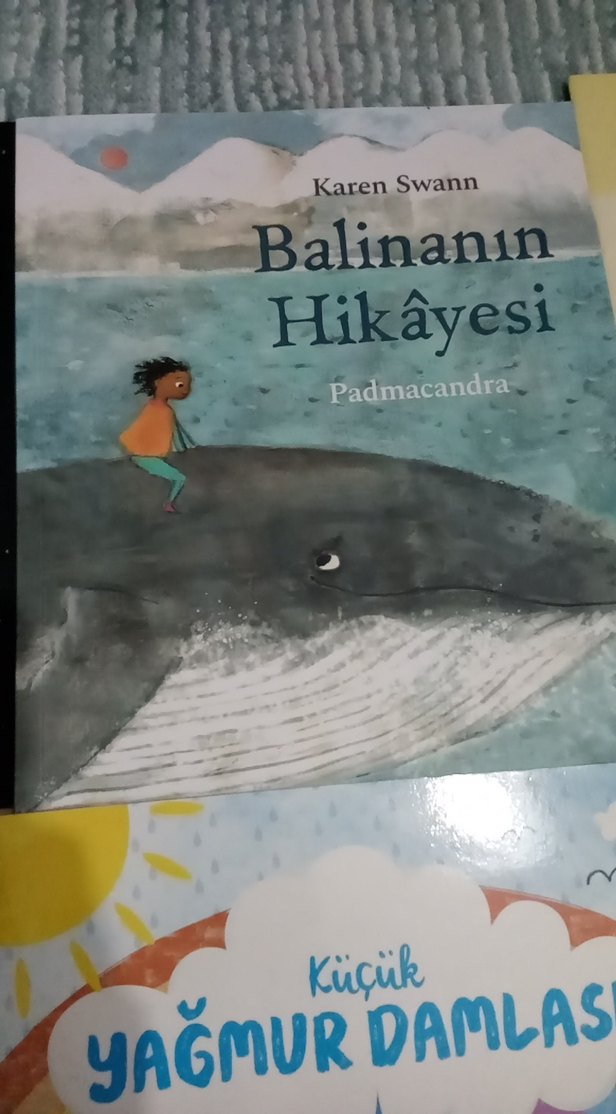 Çocuklar Kitapları - Görsel 3