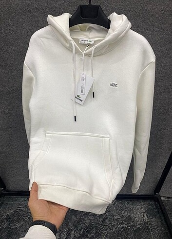 LACOSTE S M L XL XXL 