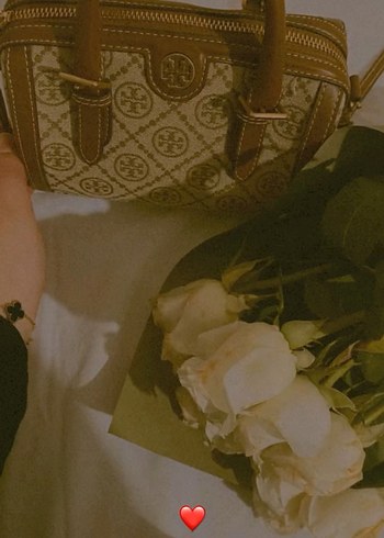 Tory Burch Tory Burch Kahverengi Baskılı Kadın Çanta