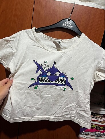 Koton köpek balığı desenli tshirt