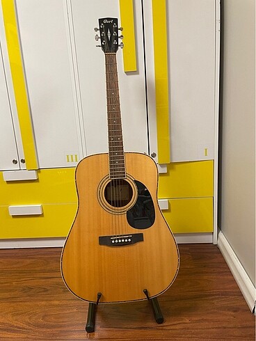 Cort akustik gitar