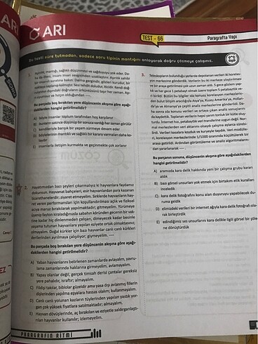 Beden Paragrafın ritmi yks