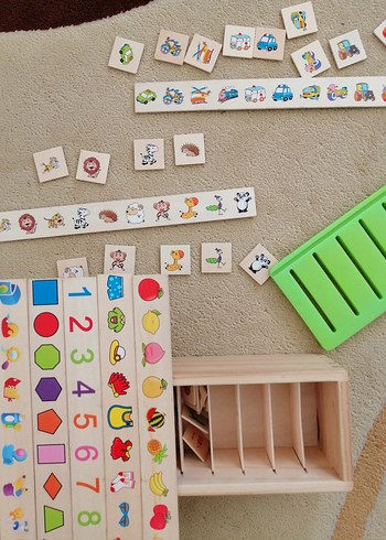 Diger Çok Renkli Eğitici Ahşap Oyuncak - Görsel 8