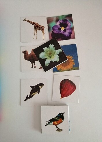 Eğitici Oyuncak  - Görsel 5