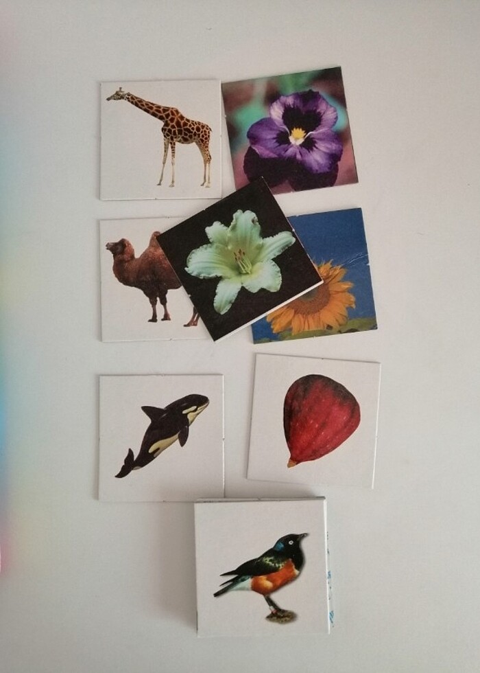 Eğitici Oyuncak  - Görsel 5