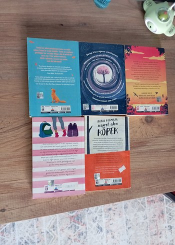 Beş Roman Kitap Seti