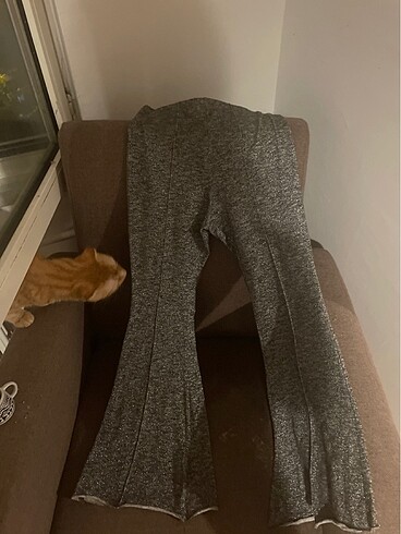 Pantolon