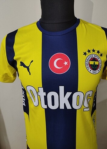 FENERBAHÇE TARAFTAR FORMA İÇ SAHA - Görsel 2