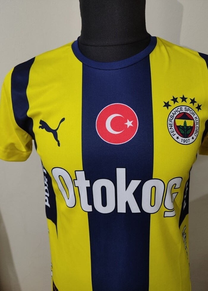 FENERBAHÇE TARAFTAR FORMA İÇ SAHA - Görsel 2