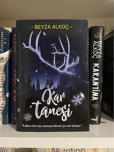 kar tanesi ciltli