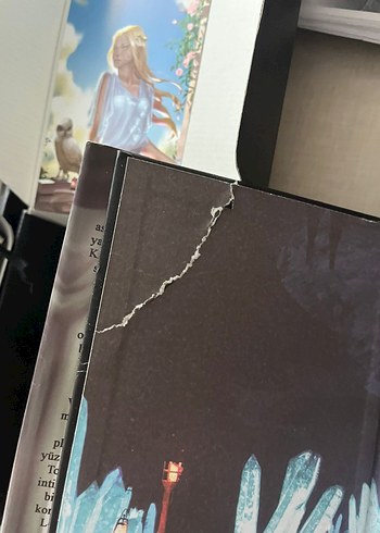 Krallar ve Soytarıları - Lordlar ve Vârîsler Seti - Görsel 12