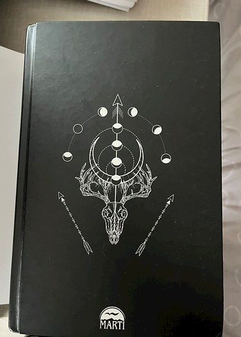 Krallar ve Soytarıları - Lordlar ve Vârîsler Seti - Görsel 9