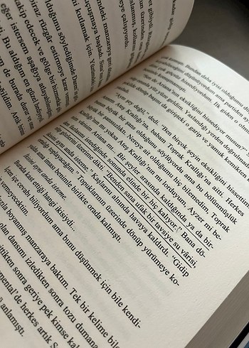 Krallar ve Soytarıları - Lordlar ve Vârîsler Seti - Görsel 15