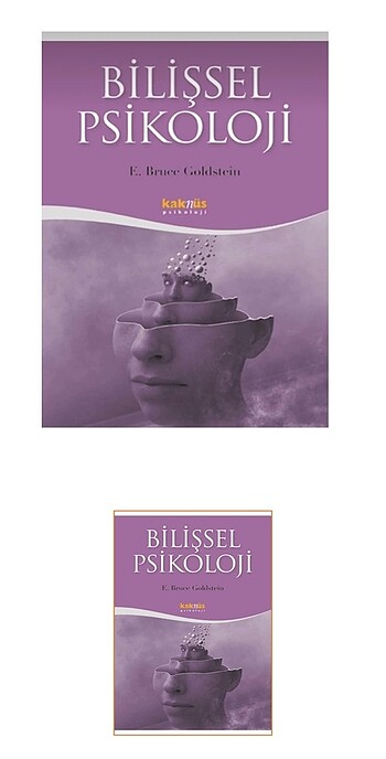 BİLİŞSEL PSİKOLOJİ KİTAP