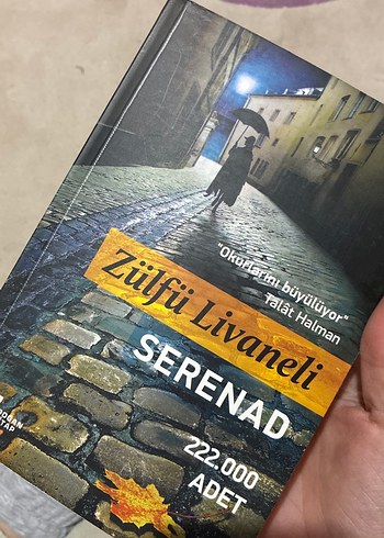 Serenad ve Kırlangıç Çığlığı Romanları - Görsel 2