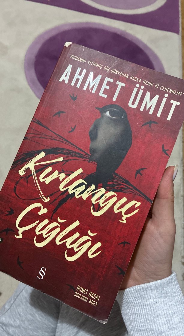 Serenad ve Kırlangıç Çığlığı Romanları - Görsel 4