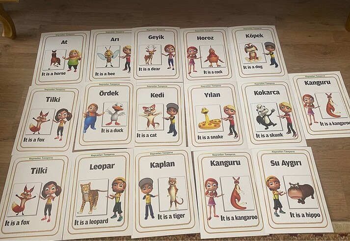 Beden İngilizce Eğitici Kartlar