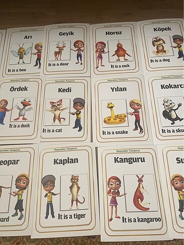 Beden Renk İngilizce Eğitici Kartlar