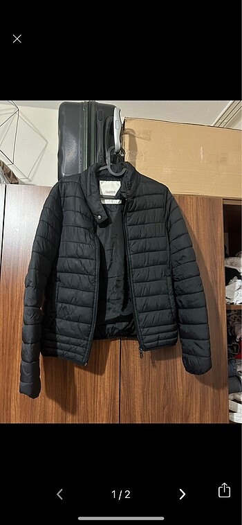 Pull and bear mont