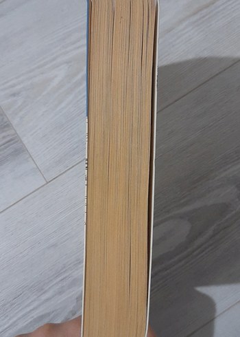 Alayına New York - Emine Can - Görsel 3