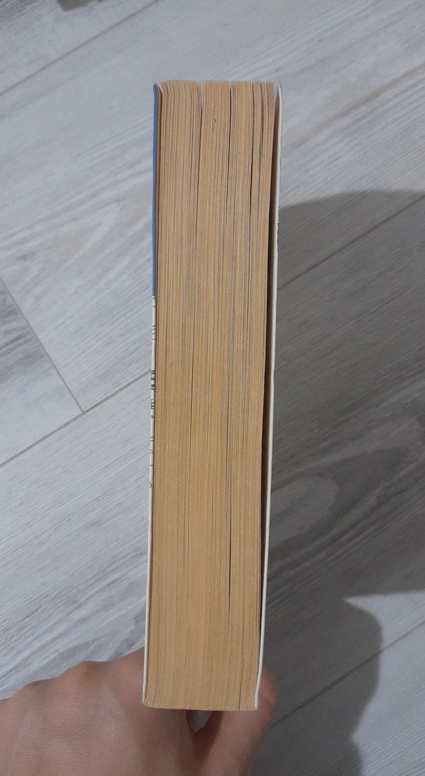 Alayına New York - Emine Can - Görsel 3