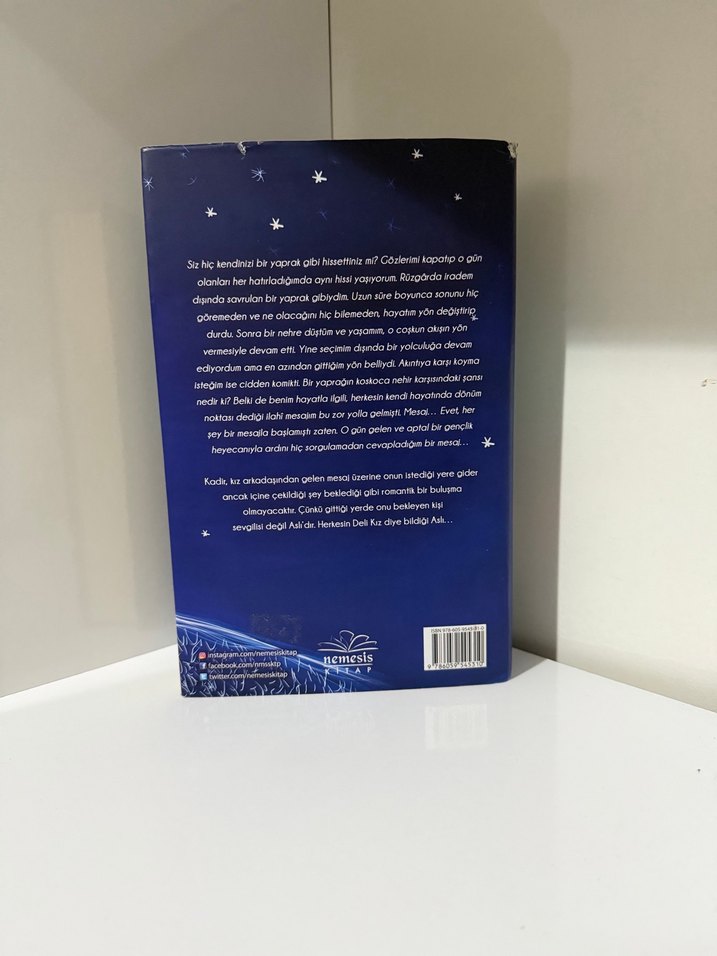 Deli Kız - Gülşen Kılıçaslan - Görsel 2