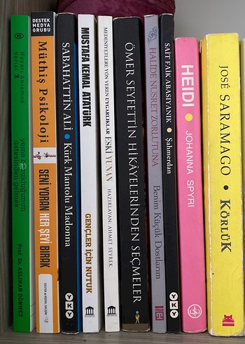 Çeşitli Yazarların Seçme Romanları - Görsel 2