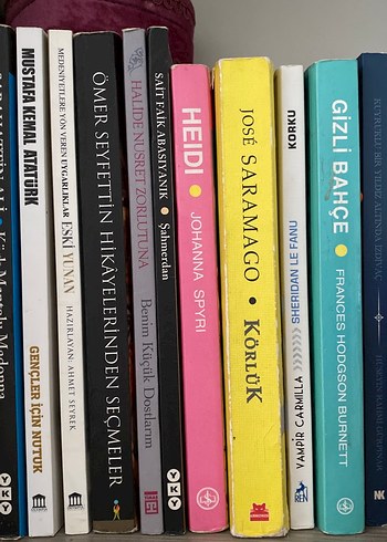 Çeşitli Yazarların Seçme Romanları - Görsel 3