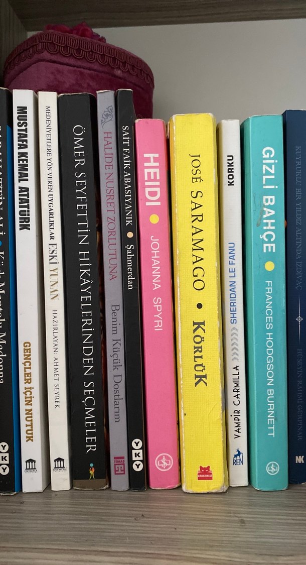 Çeşitli Yazarların Seçme Romanları - Görsel 3