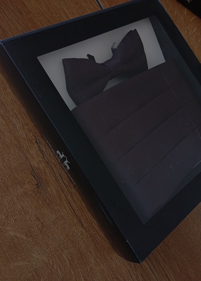 Karaca Erkek Papyon Kuşak Mendil Set - Görsel 3