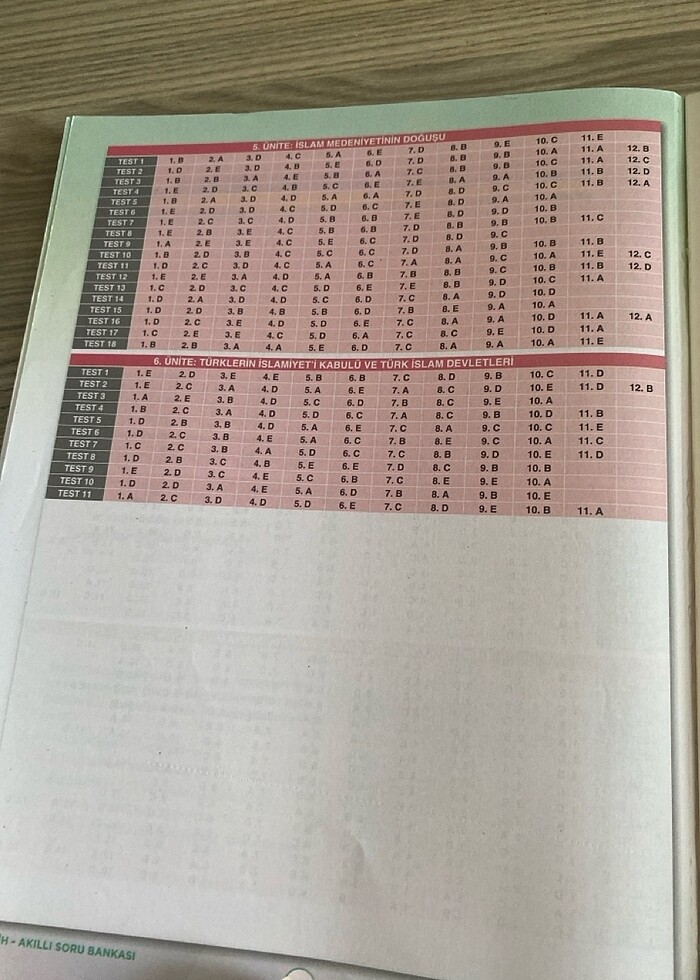 9. Sınıf tarih soru bankası - Görsel 3