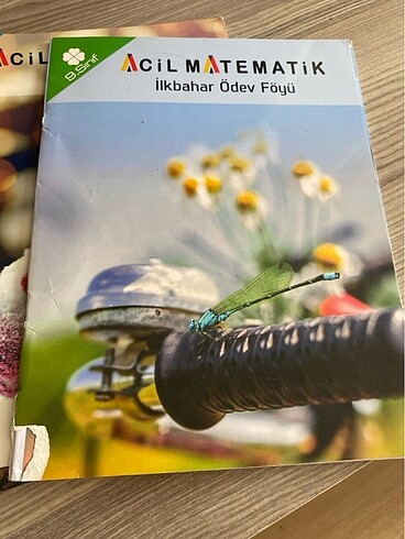 Acil 9. Sınıf matematik set - Görsel 2