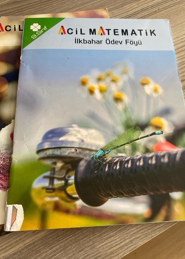 Acil 9. Sınıf matematik set - Görsel 2