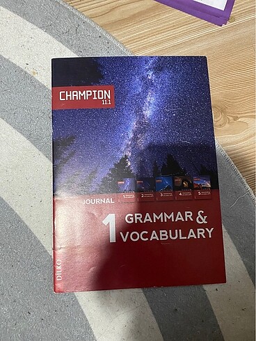 dilko grammar vocabulary 1