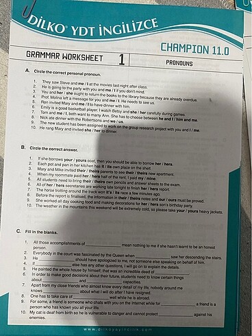 dilko grammar worksheet